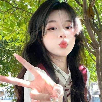 探索发现秘境追踪第五季